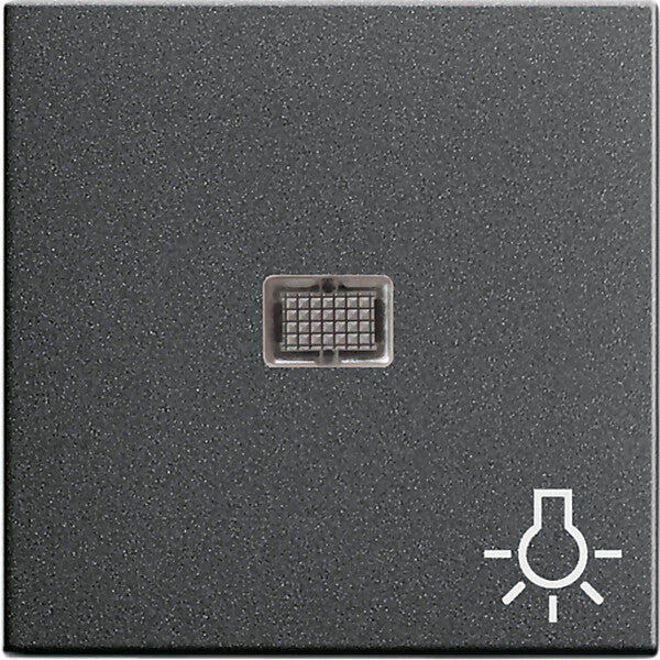 Gira Wippe anth Symbol Licht 063028